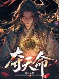 夺天命！ 封面