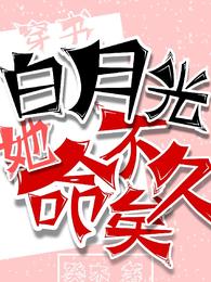 穿书：白月光她命不久矣 封面