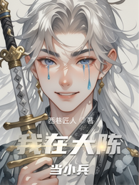 我在大陈当小兵 封面