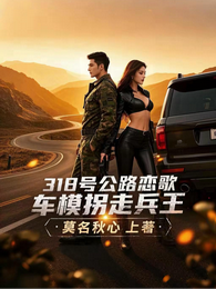 318号公路恋歌,车模拐走兵王 封面