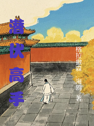 潜伏高手 封面