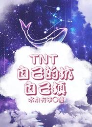 TNT：自己的坑自己填 封面