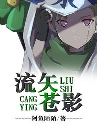 流矢苍影 封面