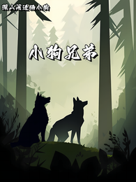 小狗兄弟传奇 封面