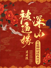 被逼嫁深山,开荒种田过红火日子 封面