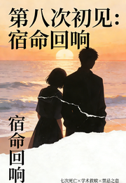 第八次初见：宿命回响 封面