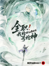 全职：我枪手职业教科书，号枪神 封面