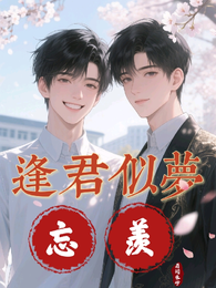 逢君似梦之忘羡 封面