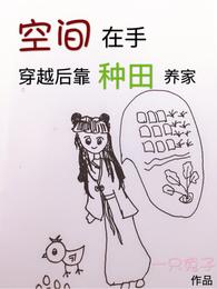 空间在手，穿越后靠种田养家 封面