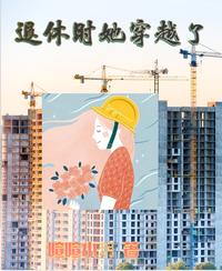退休时她穿越了 封面