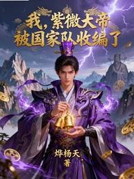 我,紫微大帝,被国家队收编了 封面