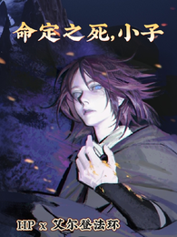 HP：命定之死，小子 封面