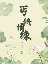 丐侠情缘 封面