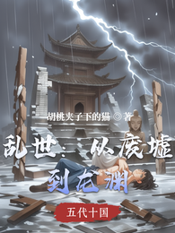 乱世:从废墟到龙渊 封面