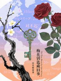 梅花钥匙藏旧事 封面