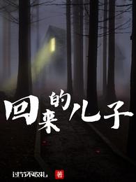 回来的儿子 封面