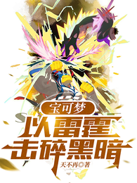 宝可梦:以雷霆击碎黑暗 封面