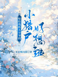 嫁给残疾大少爷的小猎户好想逃 封面