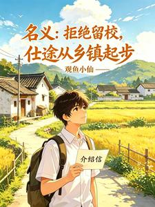 名义：拒绝留校，仕途从乡镇起步 封面