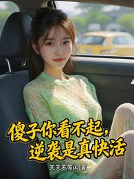 傻子你看不起，逆袭是真快活 封面
