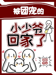 被团宠的小少爷回家了 封面