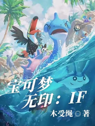 宝可梦无印：if 封面