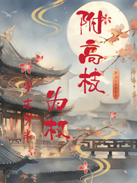 附高枝,为权 封面