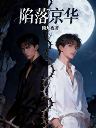 陷落京华 封面
