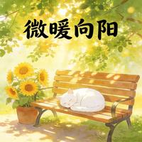 微暖向阳 封面