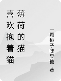 喜欢抱着猫薄荷的猫 封面