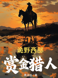 诡野西部：赏金猎人 封面