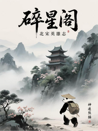 碎星阁 封面
