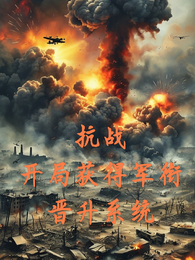 抗战:开局获得军衔晋升系统 封面