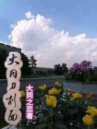 大同刀削面 封面
