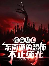 绝命逃亡，东南亚的恐怖不止缅北 封面