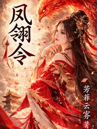 凤翎令 封面