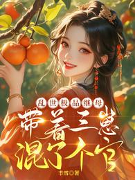 乱世极品继母,带着三崽混了个官 封面