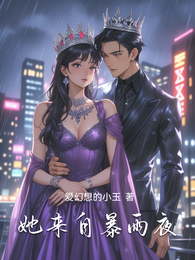 她来自暴雨夜 封面