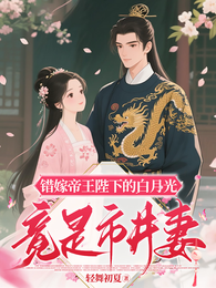 错嫁帝王陛下的白月光竟是市井妻 封面
