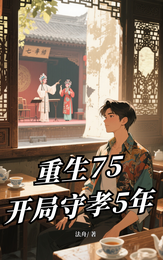 重生75:开局守孝5年 封面