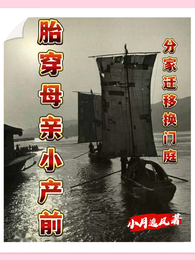 胎穿母亲小产前分家迁移换门庭 封面