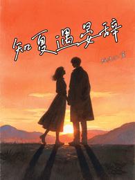 知夏遇晏辞 封面