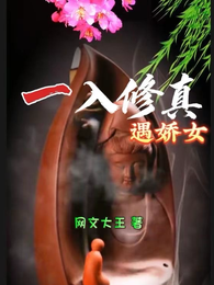 一入修真遇娇女 封面