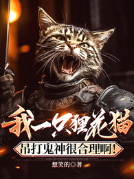 我一只狸花猫吊打鬼神很合理啊！ 封面