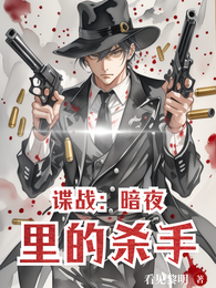 谍战：暗夜里的杀手 封面