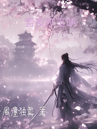 雪夜照玉明 封面