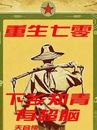 重生七零：下乡知青有超脑 封面
