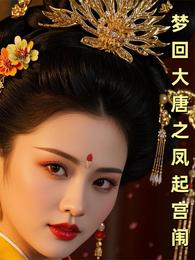 梦回大唐之凤起宫闱 封面
