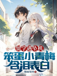 留学遇坠机,笨蛋小青梅含泪表白 封面