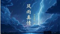 风雨真情 封面